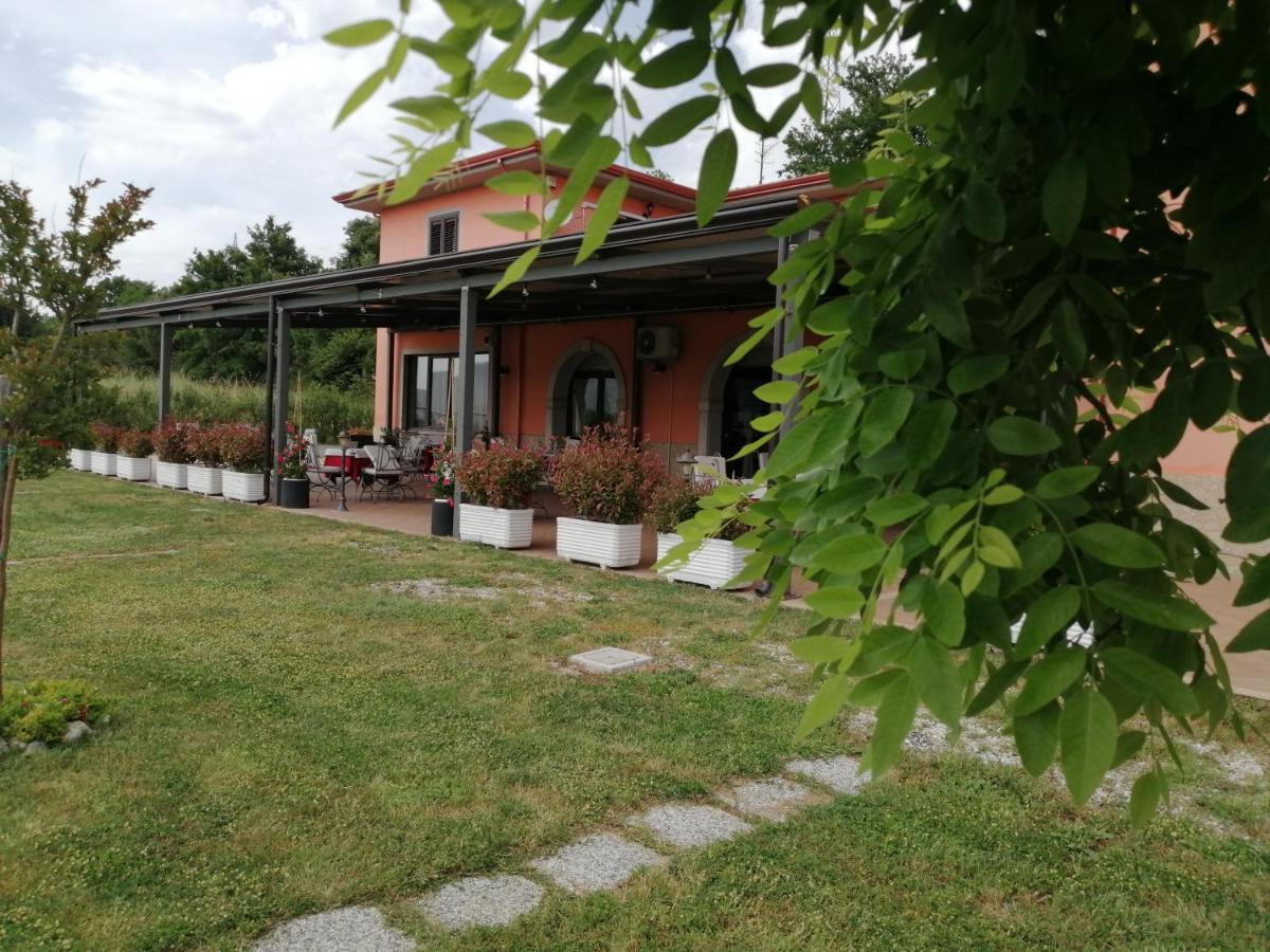 Salisu Country House Mignano Monte Lungo Екстериор снимка