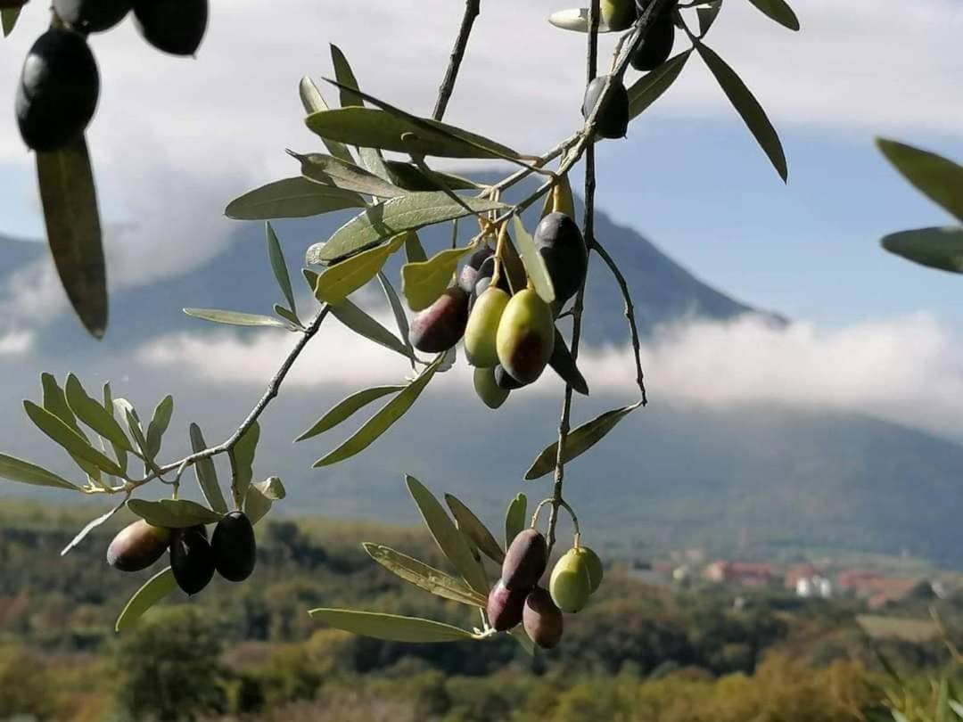 Salisu Country House Mignano Monte Lungo Екстериор снимка