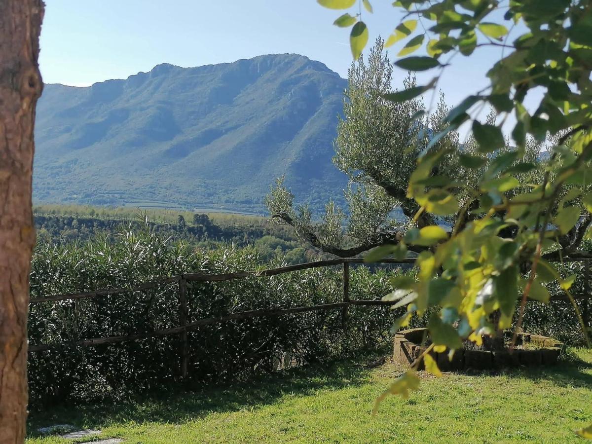 Salisu Country House Mignano Monte Lungo Екстериор снимка